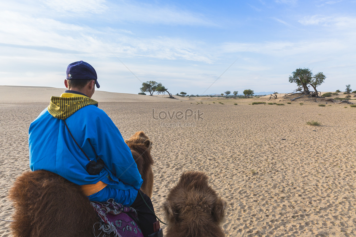 Gente Montando Camellos En El Desierto