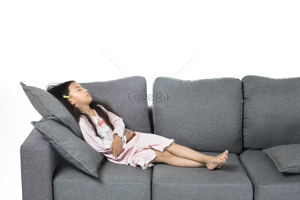 Пышка спит на раскладном кресле фото