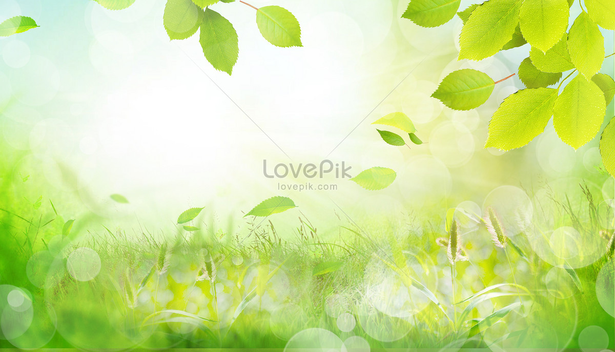 Green Leaves Spring Background Download Free | Banner Background Image on  Lovepik | 402137076