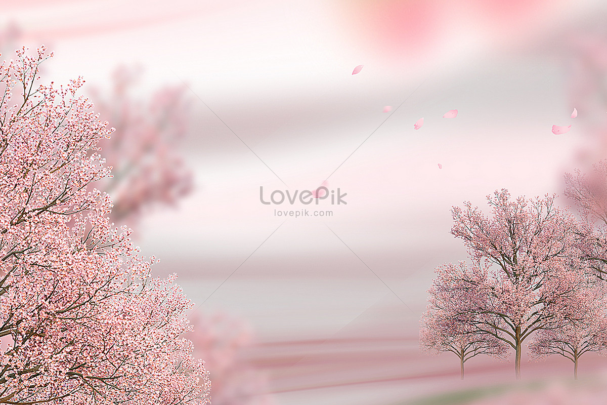 Pink Cherry Blossom Background Download Free | Banner Background Image on  Lovepik | 402146080