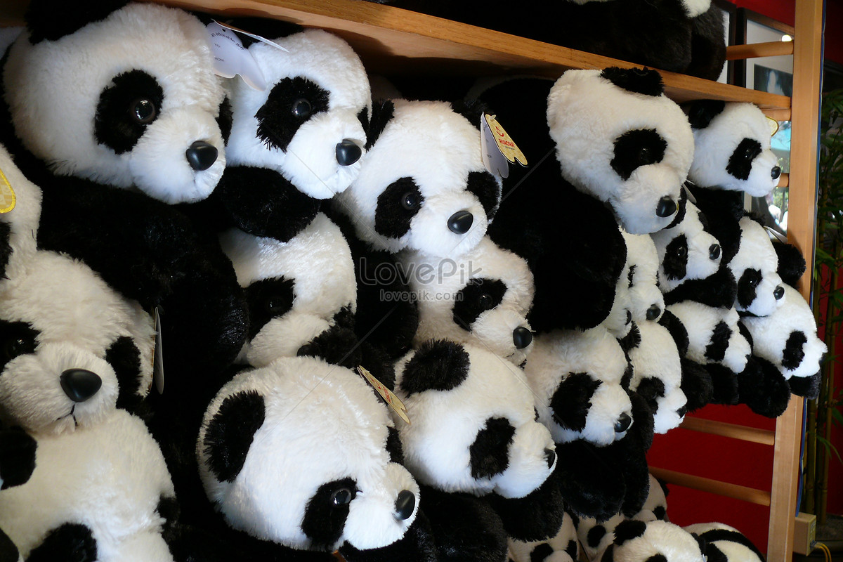 Tren Untuk Gambar Panda  Boneka 