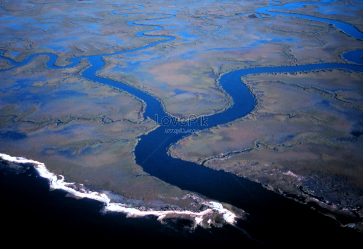 Устье реки Амазонка