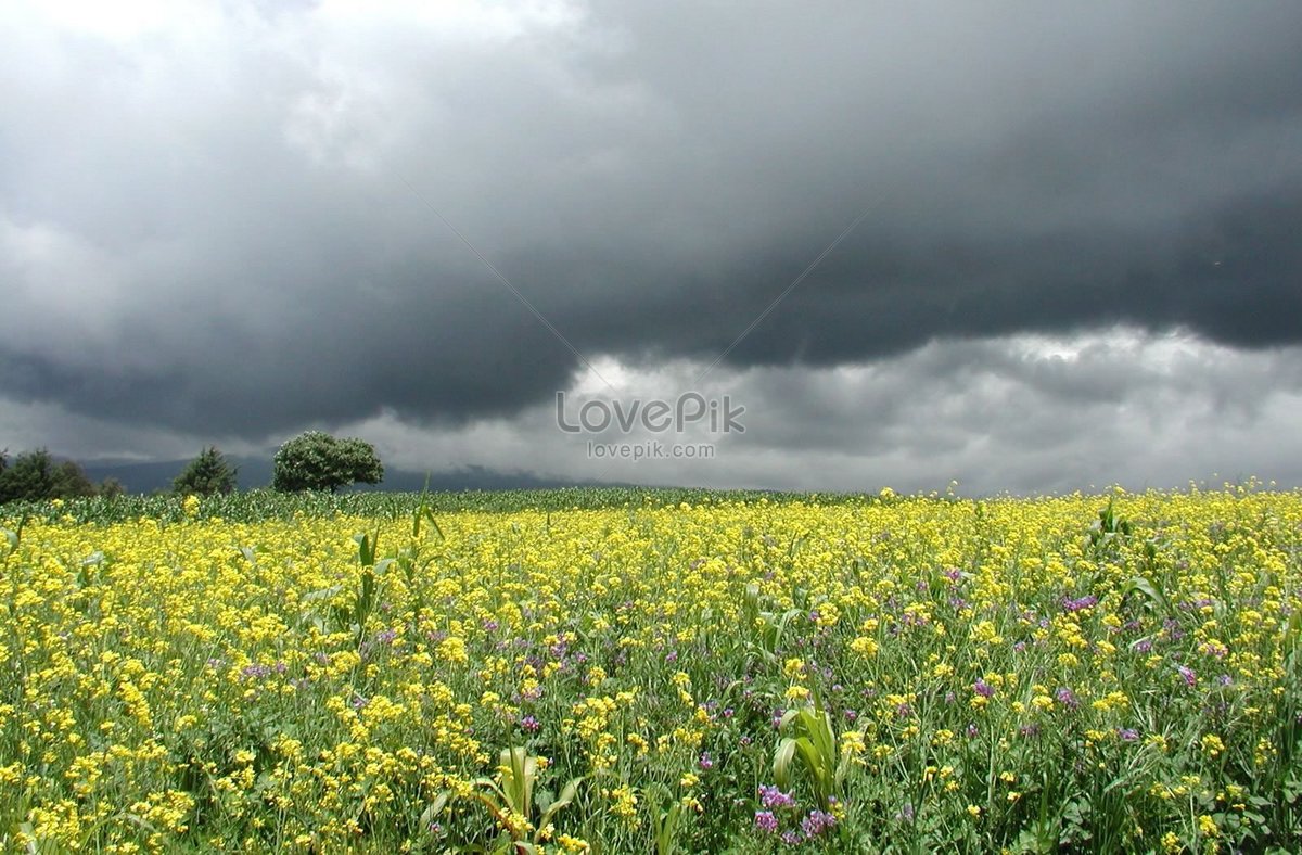 Gambar Langit Abu Abu - Blacki Gambar