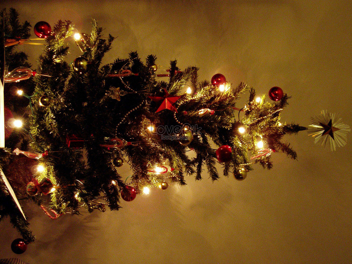  lampu pohon natal  gambar unduh gratis Foto 100423584 