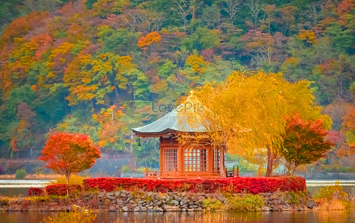ảnh Phong Cảnh Mùa Thu đẹp Nhật Bản Tải Xuống Miễn Phí, ảnh tham quan, cảnh  quan, phong cảnh cây đẹp Trên Lovepik