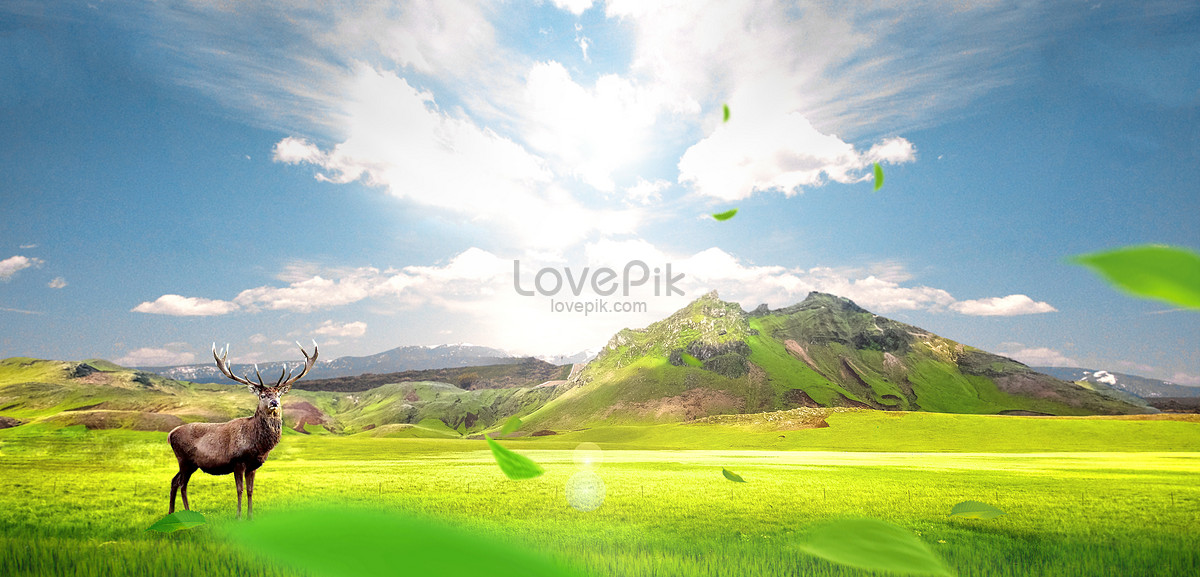 Natural Background Picture And HD Photos | Free Download On Lovepik