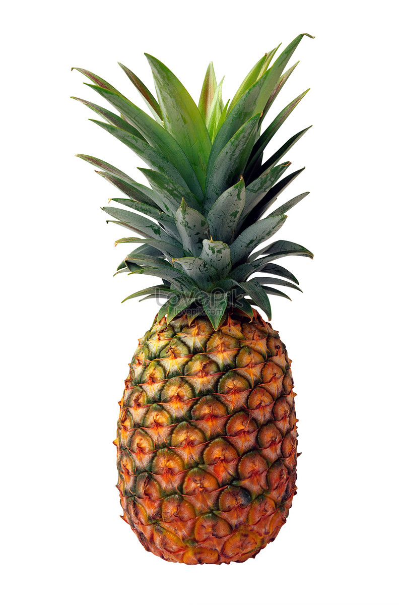 Pineapple Isolated On A White Background Larawan_Numero ng Larawan_Format  ng larawan 