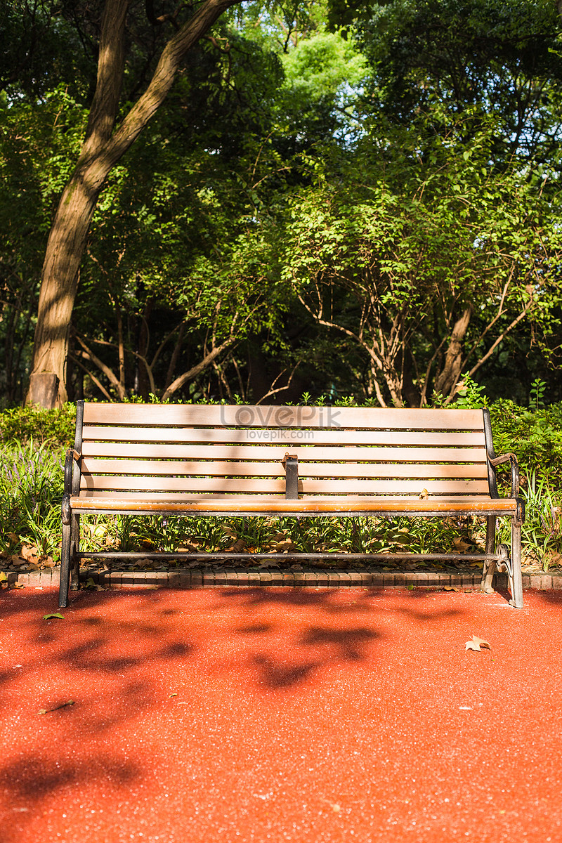 Sunshine Chair Rest Park Natural Environment Picture And HD Photos | Free  Download On Lovepik
