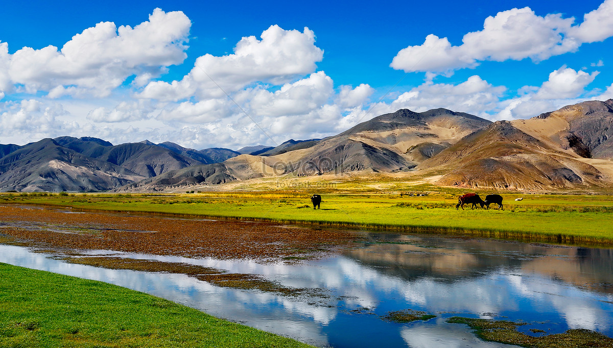 ảnh Phong Cảnh Tây Tạng Tải Xuống Miễn Phí, ảnh tây tạng, phong cảnh,  yajiangensis đẹp Trên Lovepik