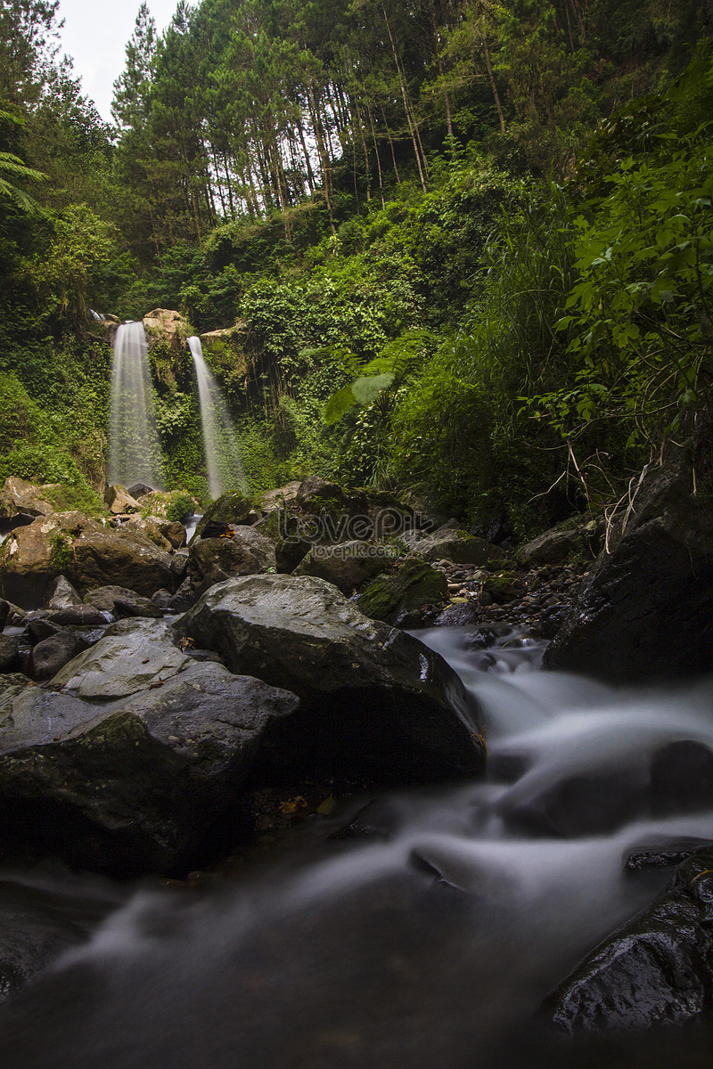Горький водопад (fb2) | Флибуста