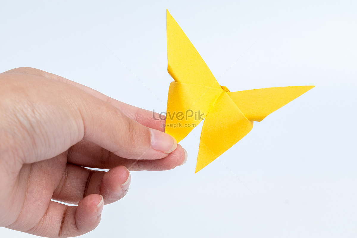 Легкие оригами бабочка: инструкция с фото