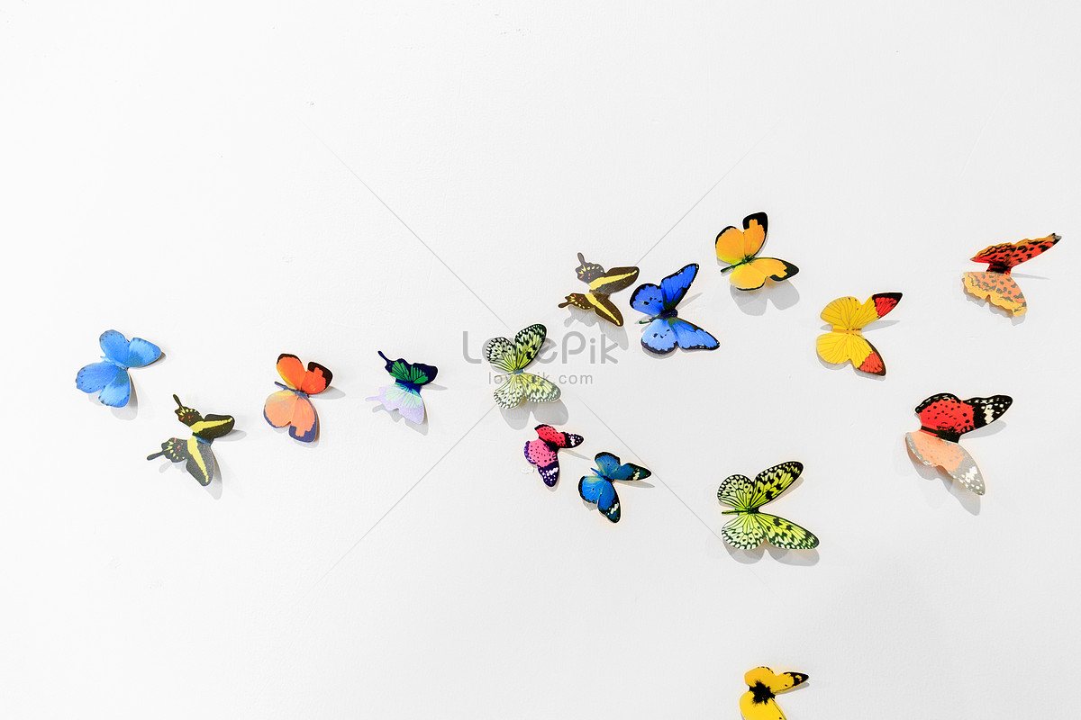 A Group Of Flying Butterflies, Fly Butterfly, Flying, Buterfly PNG