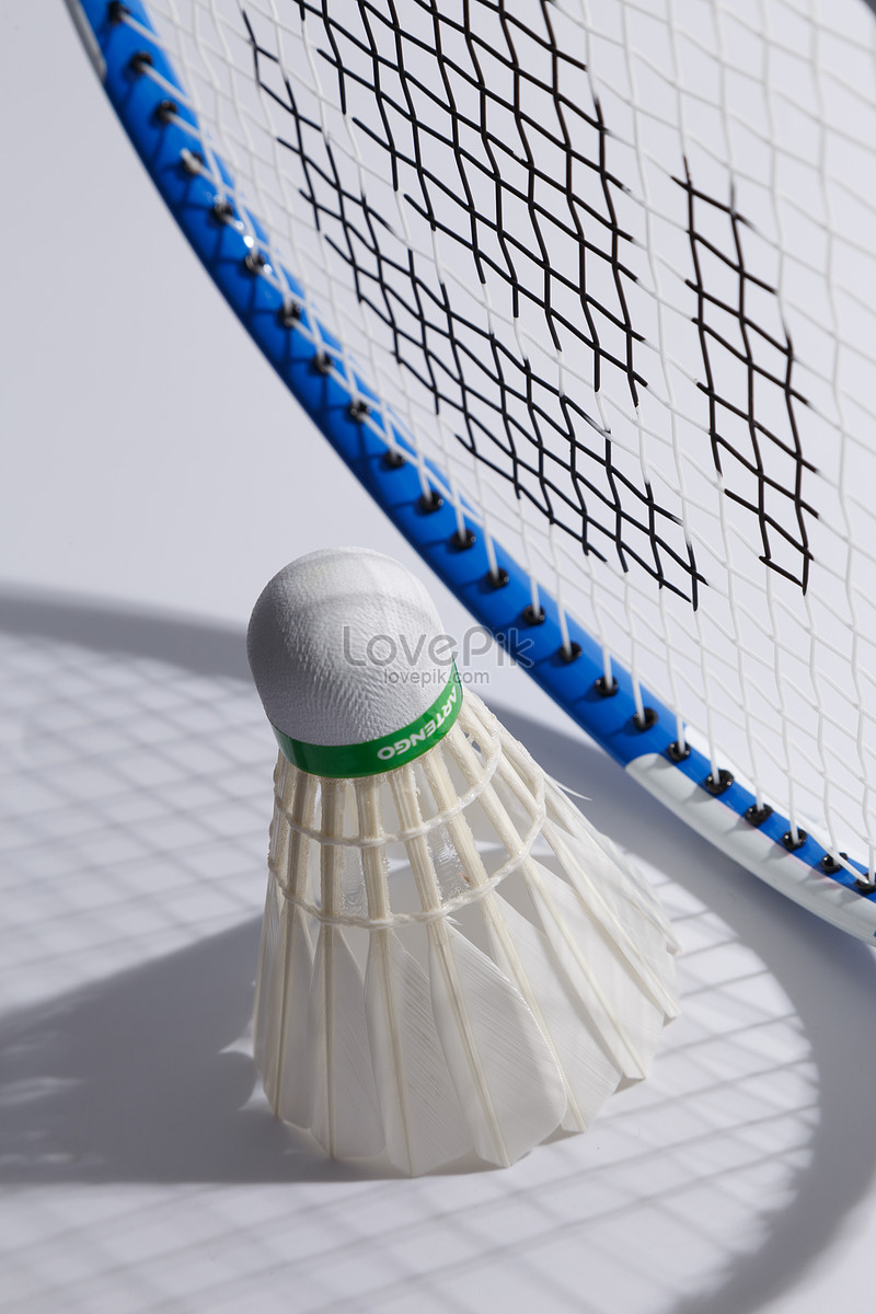 Instructional software for playing badminton