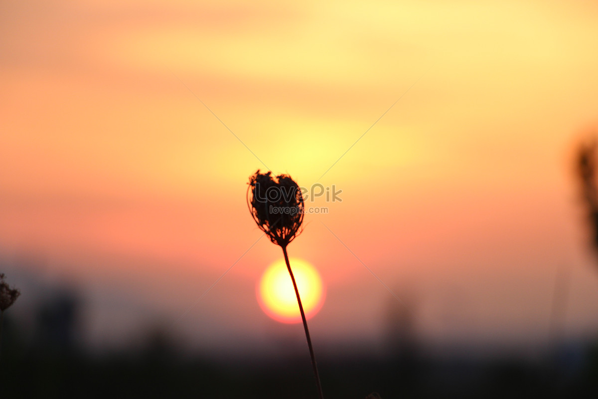 รูปภาพวิวสวย ๆ, ดาวน์โหลดภาพ PNG ฟรี, พื้นหลัง - Lovepik