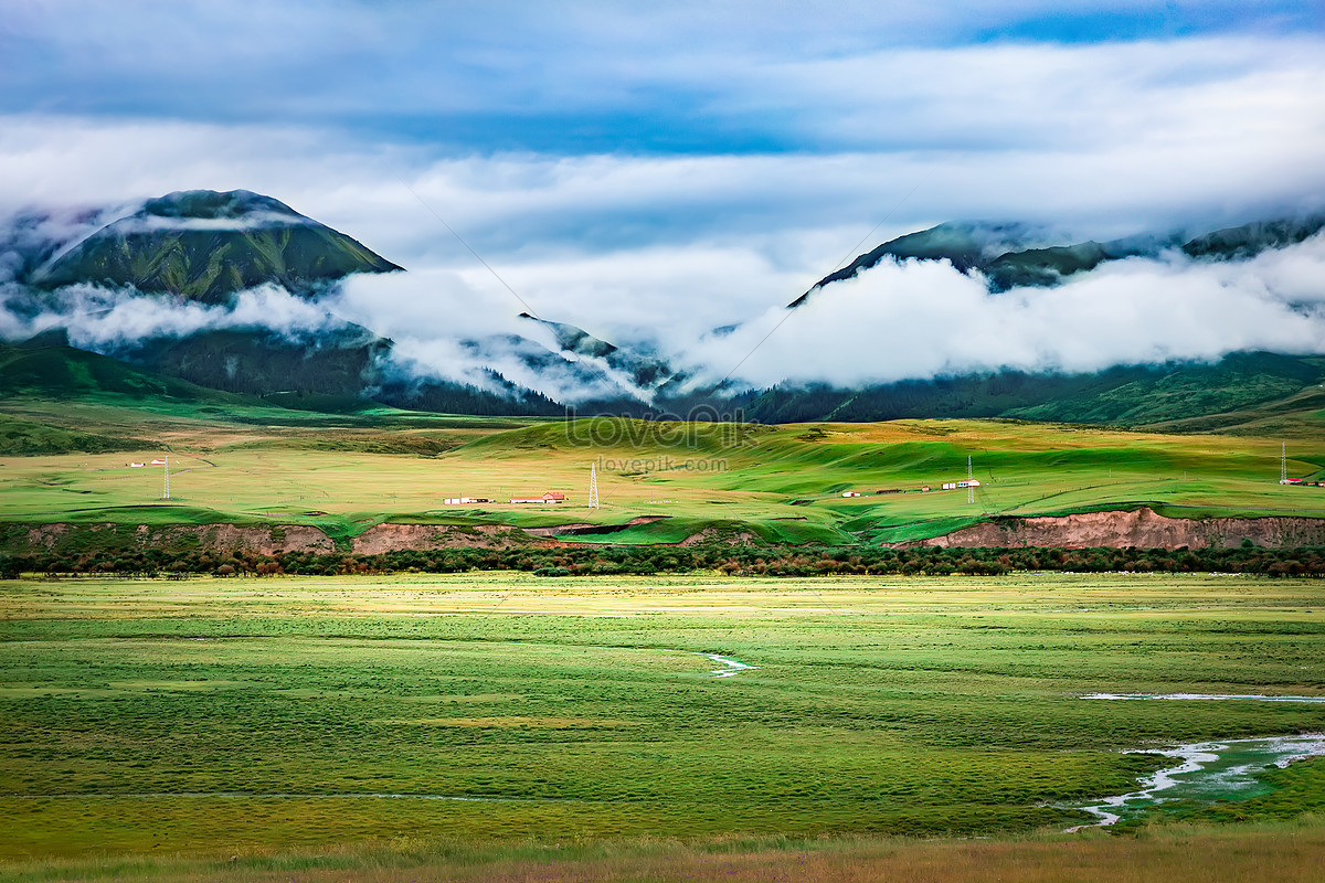 Grassland Picture And HD Photos | Free Download On Lovepik