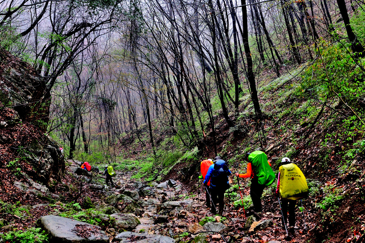 Qinling Mountain Scenery Picture And HD Photos | Free Download On Lovepik