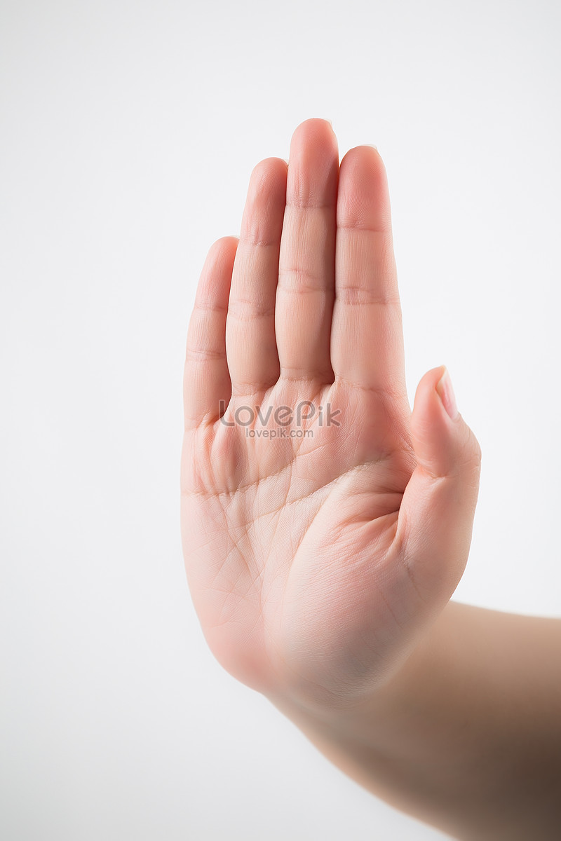 Single Hand Gestures Picture And HD Photos | Free Download On Lovepik