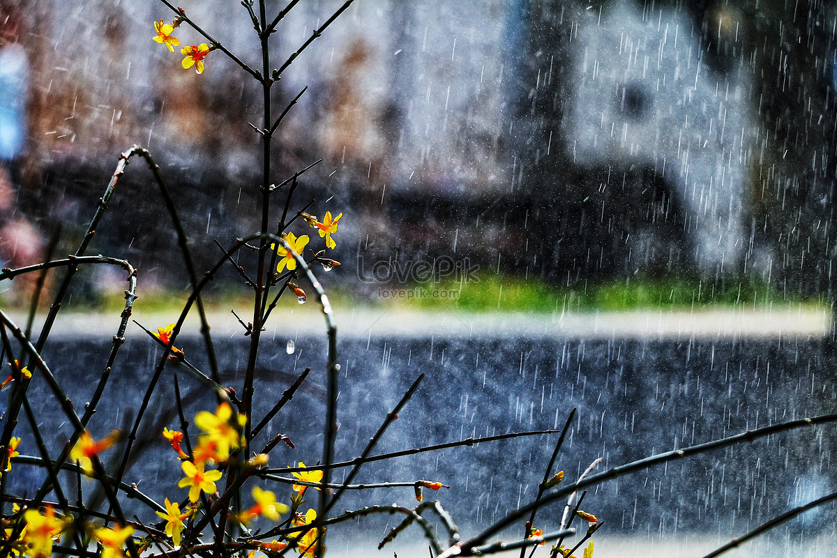 Весенний дождик назаровой