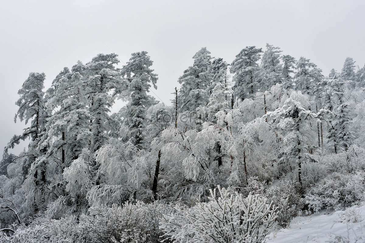 The East Beam Of Qinling Mountains Picture And HD Photos | Free ...