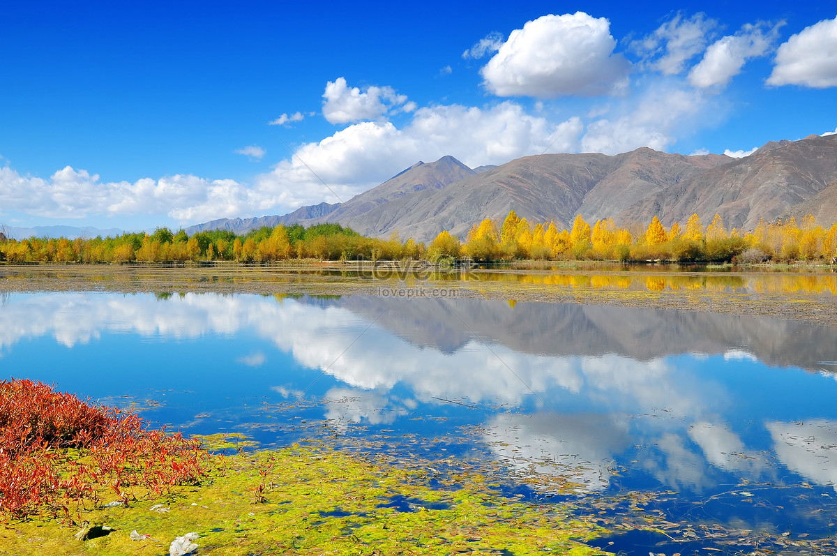 ảnh Phong Cảnh Tây Tạng Tải Xuống Miễn Phí, ảnh tây tạng, mùa thu, màu sắc  đẹp Trên Lovepik