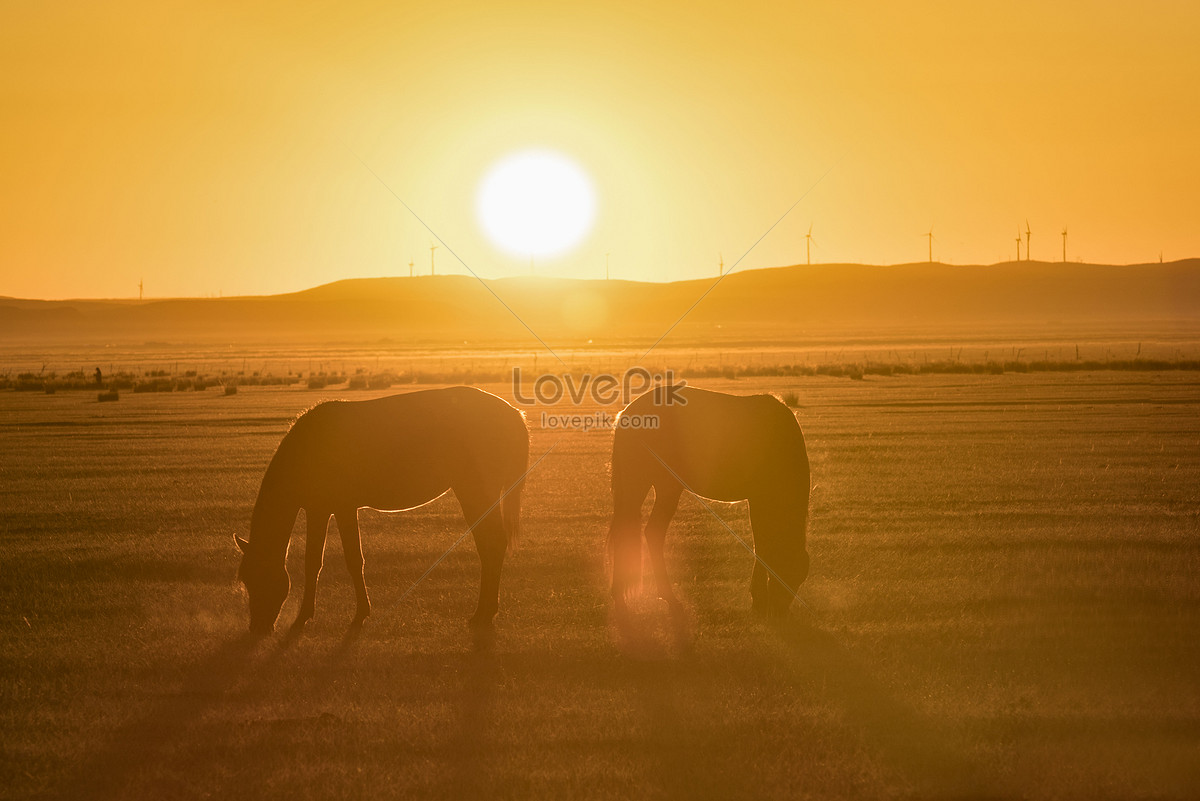 a sunrise on the veld