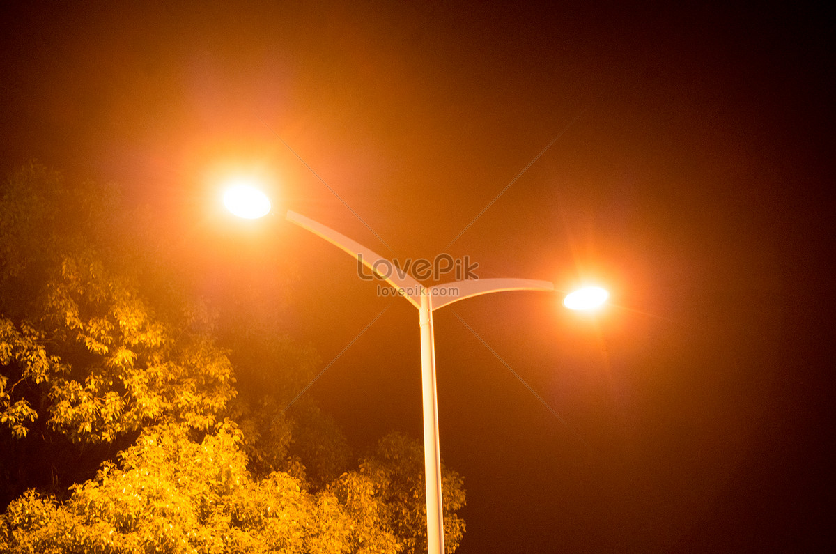 A Warm Yellow Street Lamp At Night Picture And HD Photos | Free ...