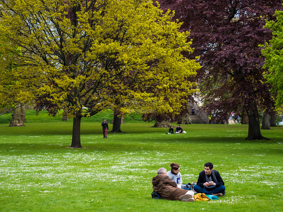 An afternoon in the park. Leisurely afternoon.