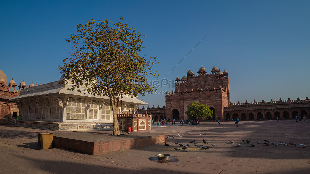 ảnh Pháo đài Agra Ấn Độ Tải Xuống Miễn Phí, ảnh Ở Ấn Độ, bắc Ấn Độ, phong  cảnh đẹp Trên Lovepik