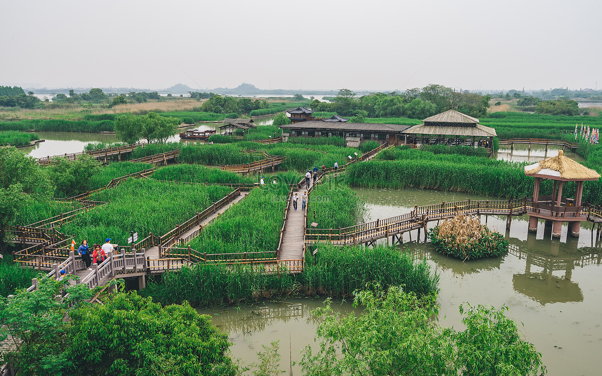 Deqing Xia Zhu Lake Wetland Picture And HD Photos | Free Download On ...
