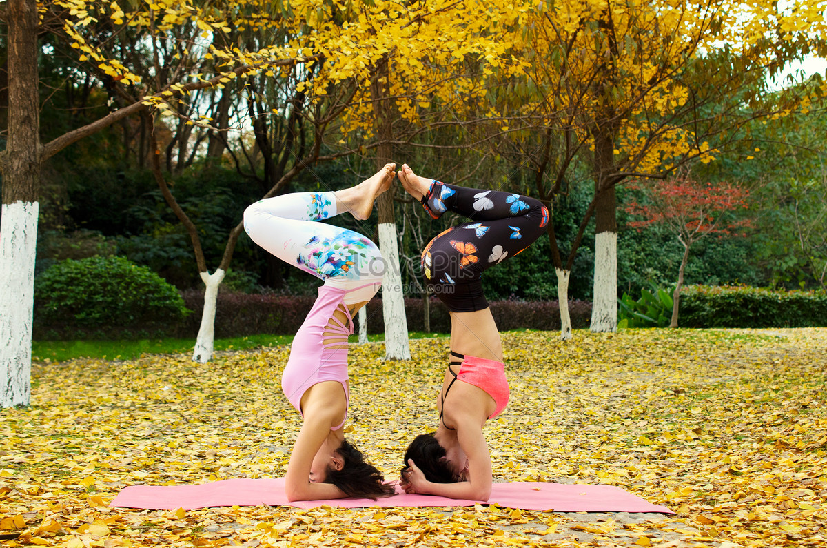 Group of young women doing outdoor yoga exercises. - Stock Photo [95903139]  - PIXTA