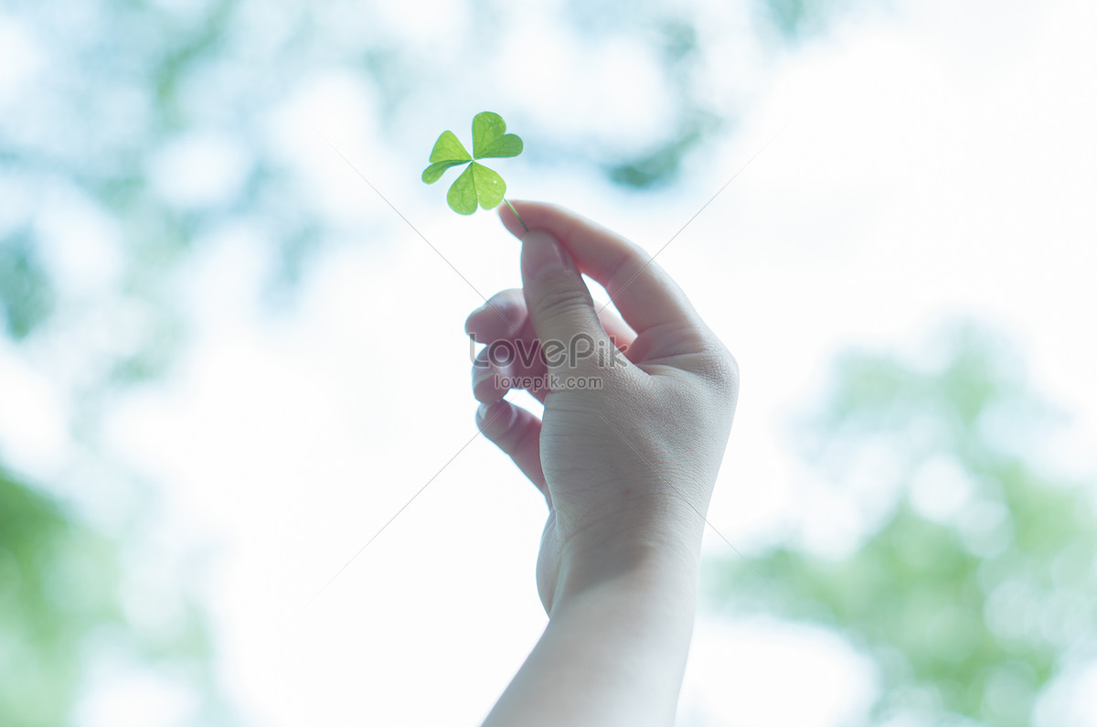 Take leaves. Картинка две лапки которые держат листик.