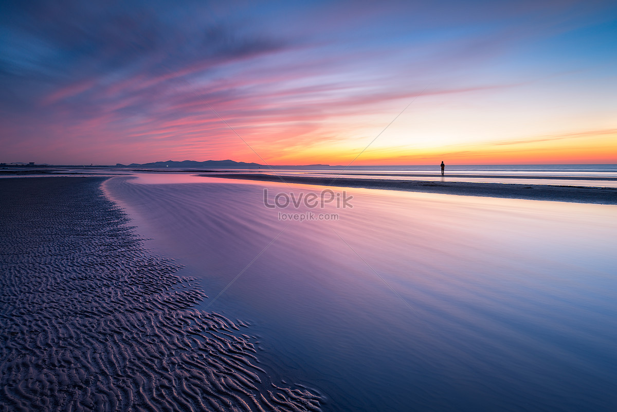 The Back Of The Sunset Picture And HD Photos | Free Download On Lovepik