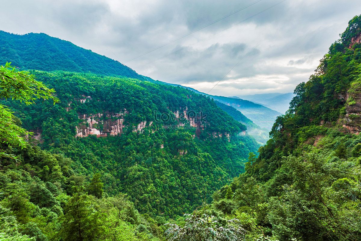 The Mountain Forest After The Summer Rain Picture And HD Photos | Free ...