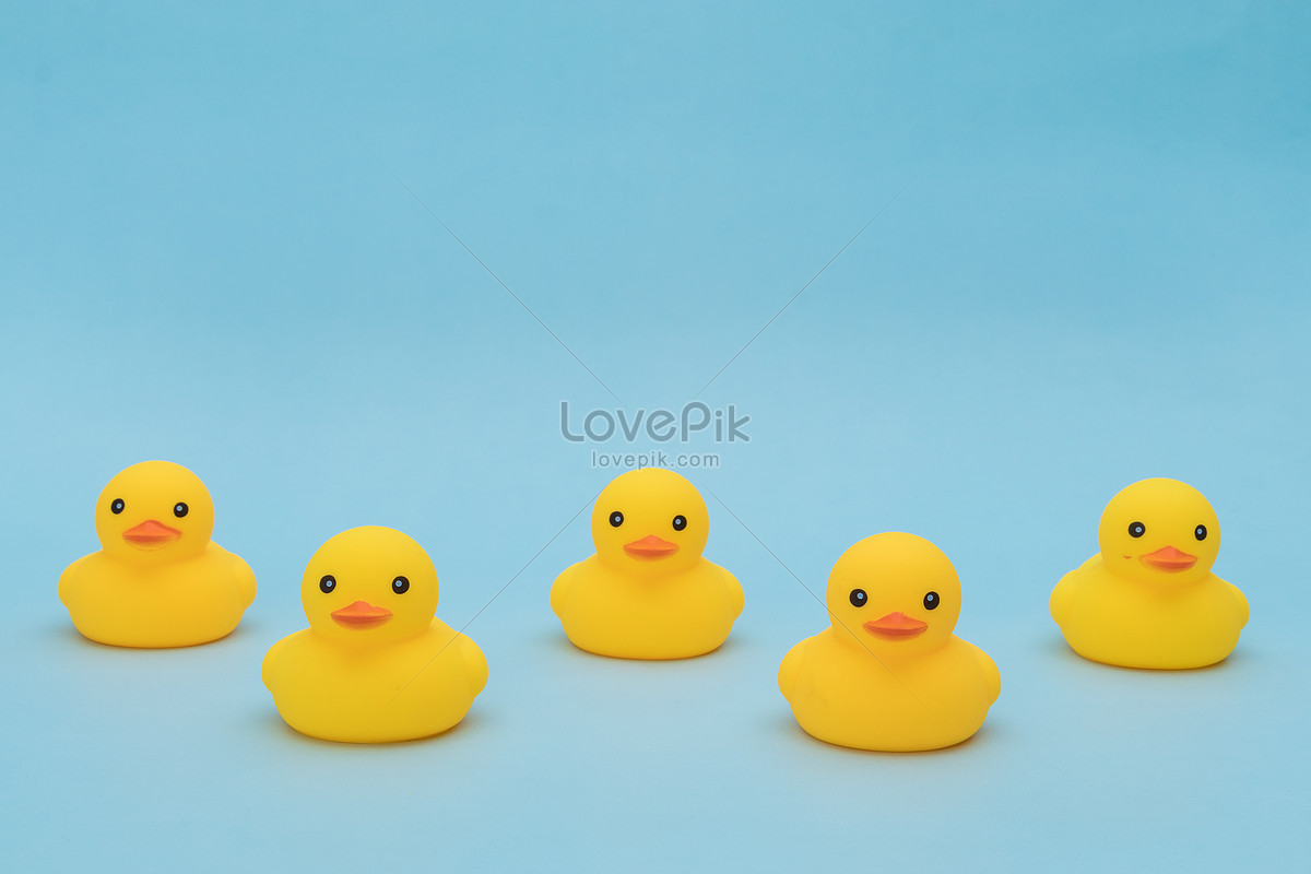 이 남색 바탕에 노란색 오리 사진 무료 다운로드 - Lovepik