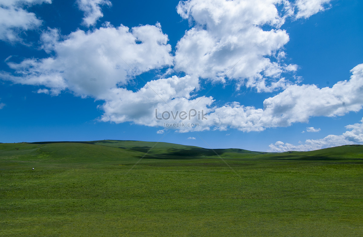 Голубое небо, луга, белые облака изображение_Фото номер 500482272_JPG  Формат изображения_ru.lovepik.com