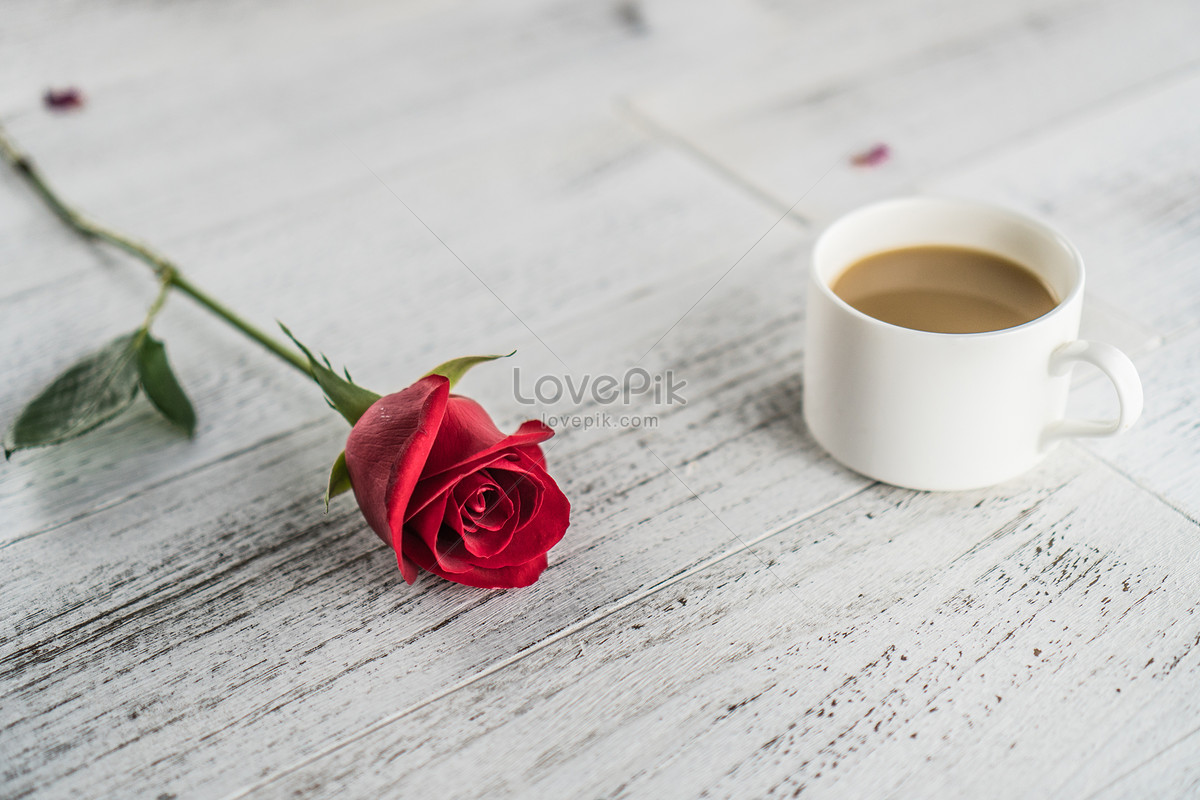 الوادي تسوية نيابة عن  Lovepik- صورة JPG-500570401 id صورة فوتوغرافية بحث - صور وردة مع فنجان قهوة