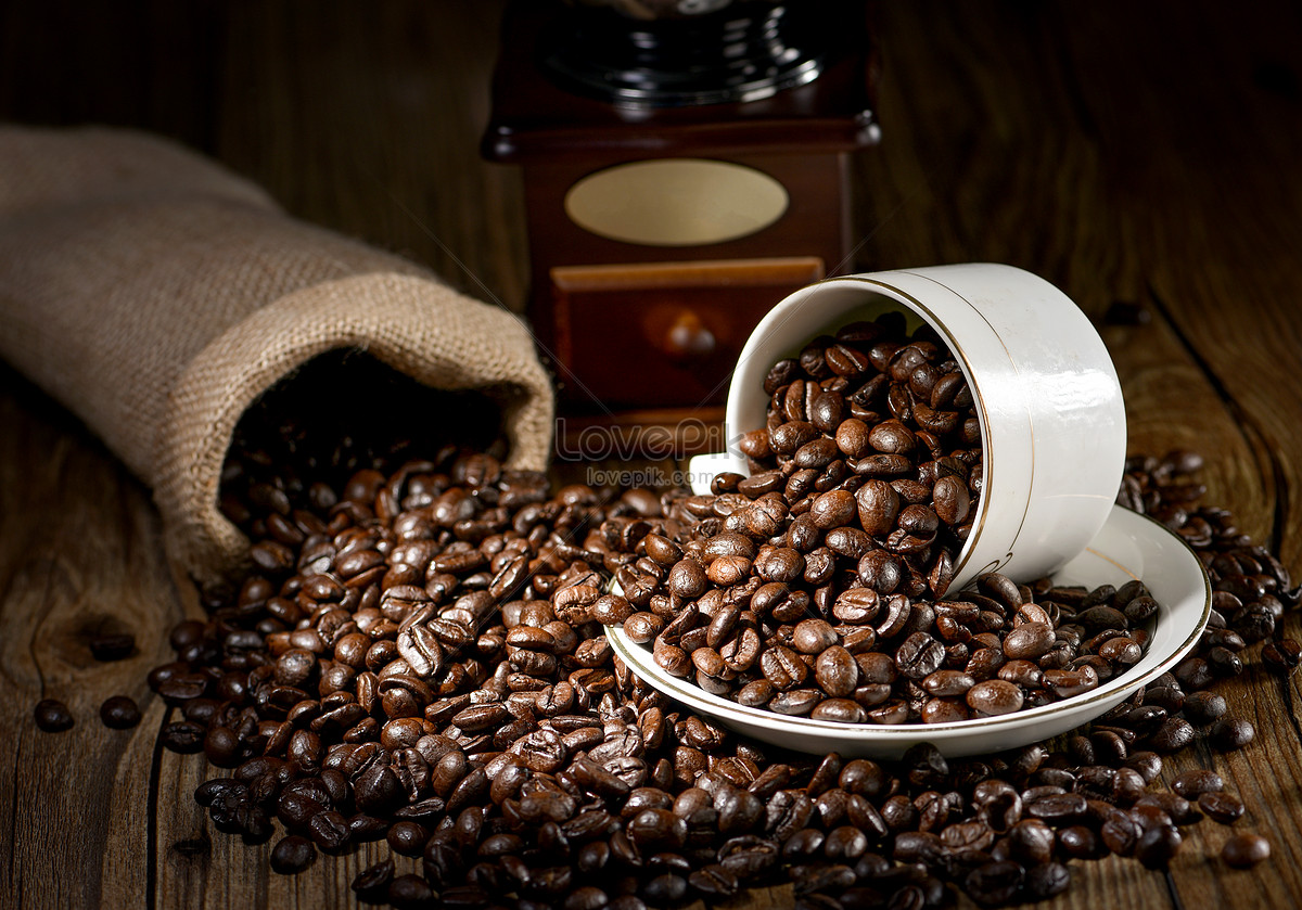 精品咖啡 巴西咖啡豆 最新介绍及详情 中国咖啡网