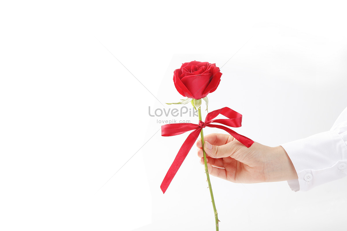 Hình nền hoa hồng tặng người yêu