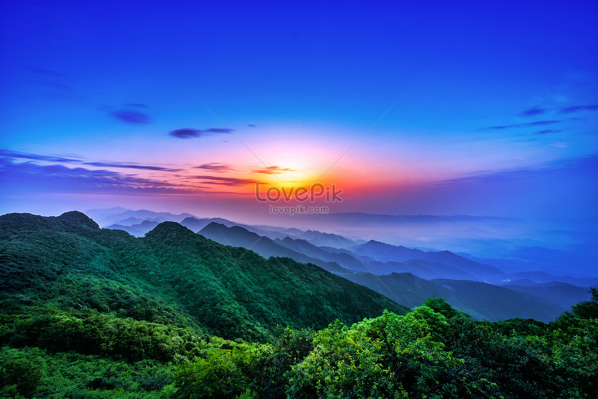 日出时山野上的花。美丽的自然景观在夏季时间照片摄影图片_ID:170970081-Veer图库