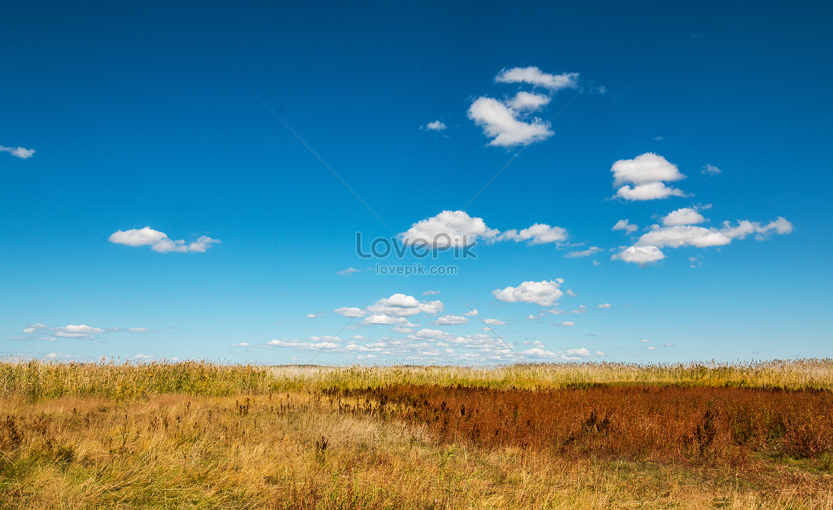 Inner Mongolia Area Picture And HD Photos | Free Download On Lovepik