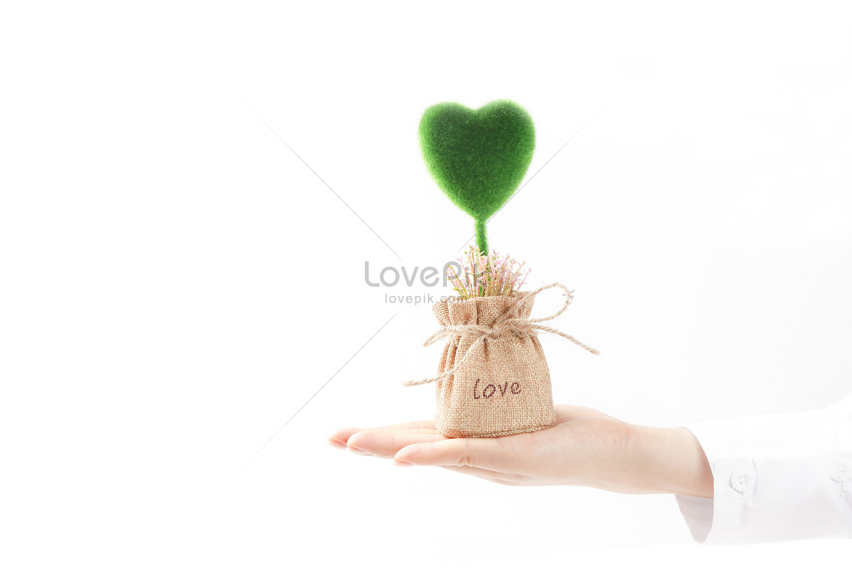 Love is a plant