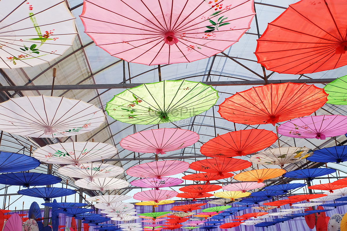 Oil Paper Umbrella Picture And HD Photos Free Download On Lovepik   Lovepik Oil Paper Umbrella Picture 500538740 