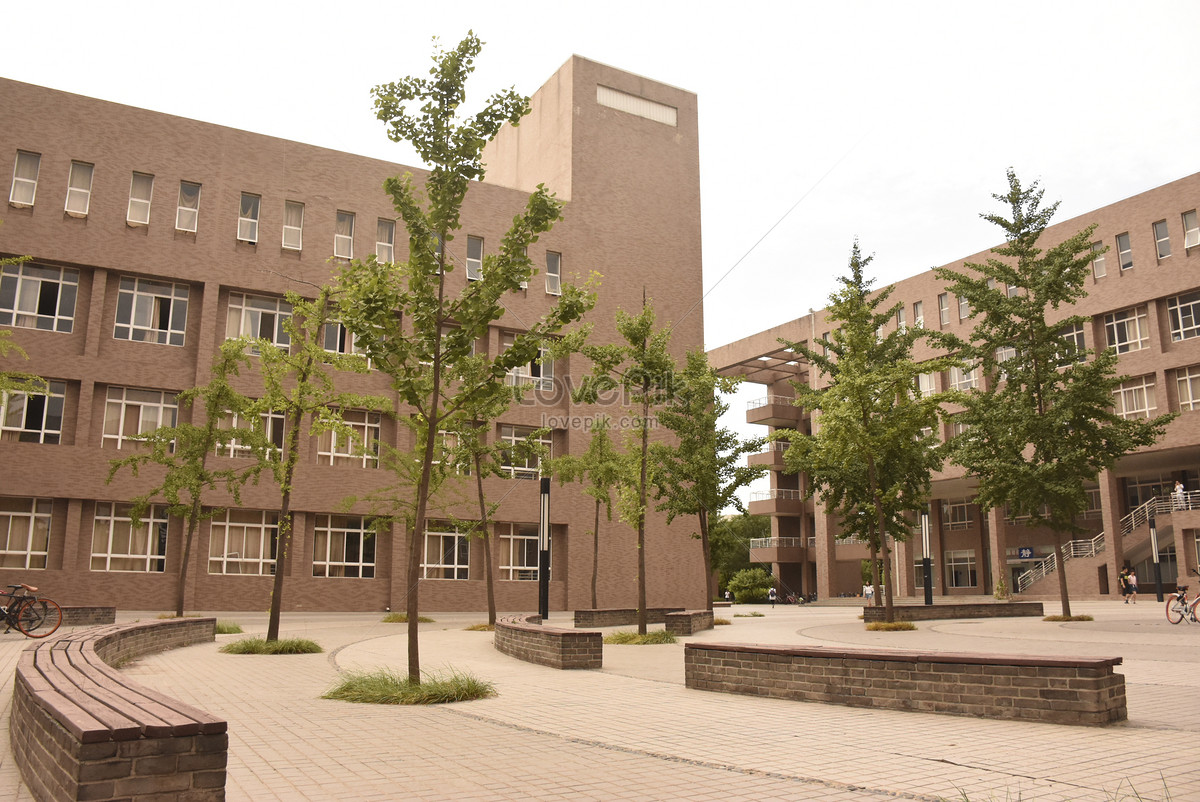 Электронный кампус. Сианьский университет науки и технологий. Xian University. Xidian University Solar. Xian University of Art and Science photos.