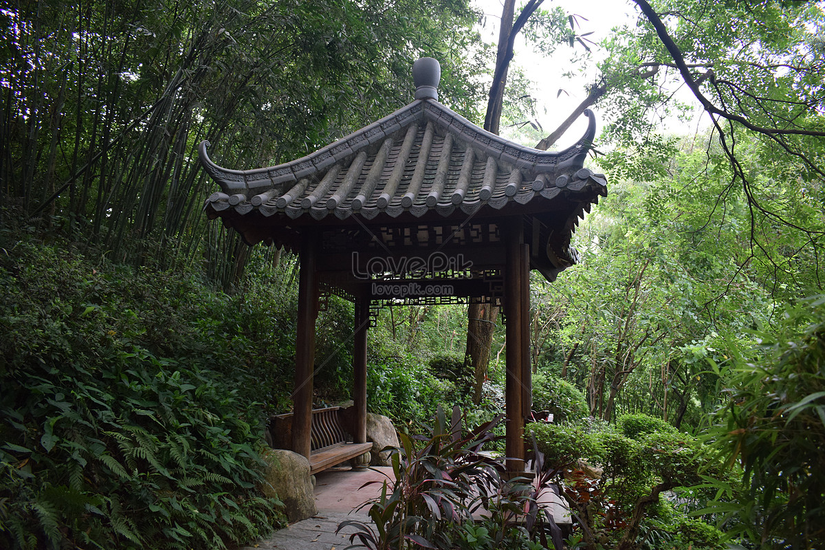 Yuntai Garden Landscape Picture And HD Photos | Free Download On Lovepik