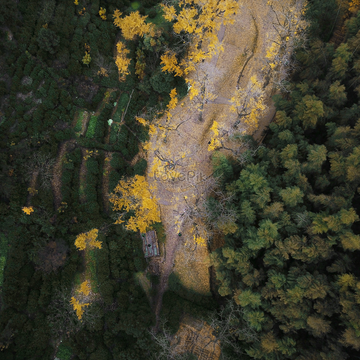 รายการ 105+ ภาพพื้นหลัง ภาพถ่ายทางอากาศ สวยมาก