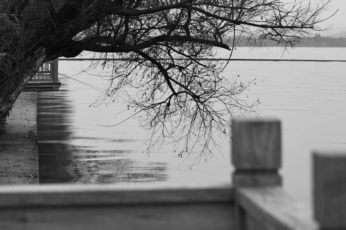 Photo de Piscine Noir Et Blanc lacs noirs lac noir noir et