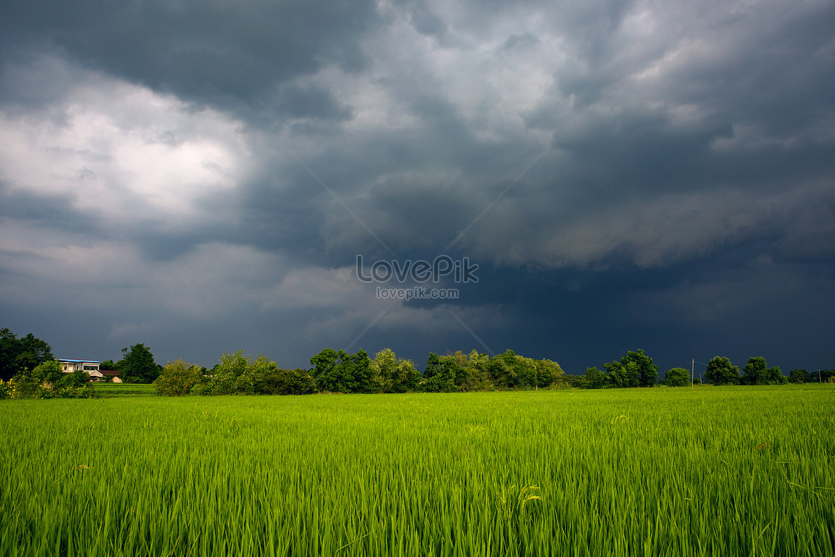 Erupt Like A Storm Picture And HD Photos | Free Download On Lovepik