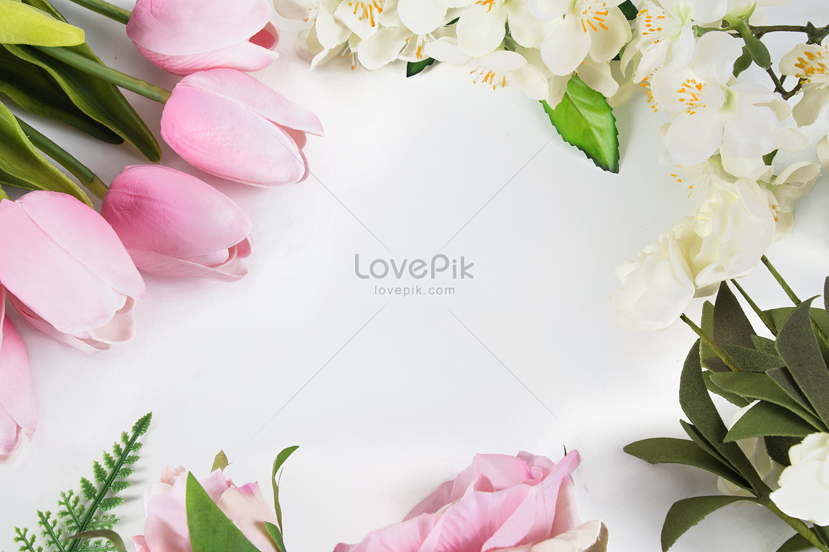 Flower Background Picture And HD Photos | Free Download On Lovepik