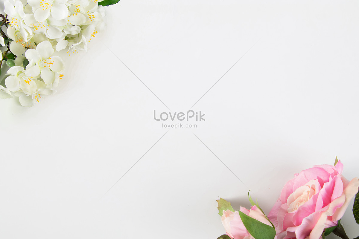 꽃 배경 사진 무료 다운로드 - Lovepik