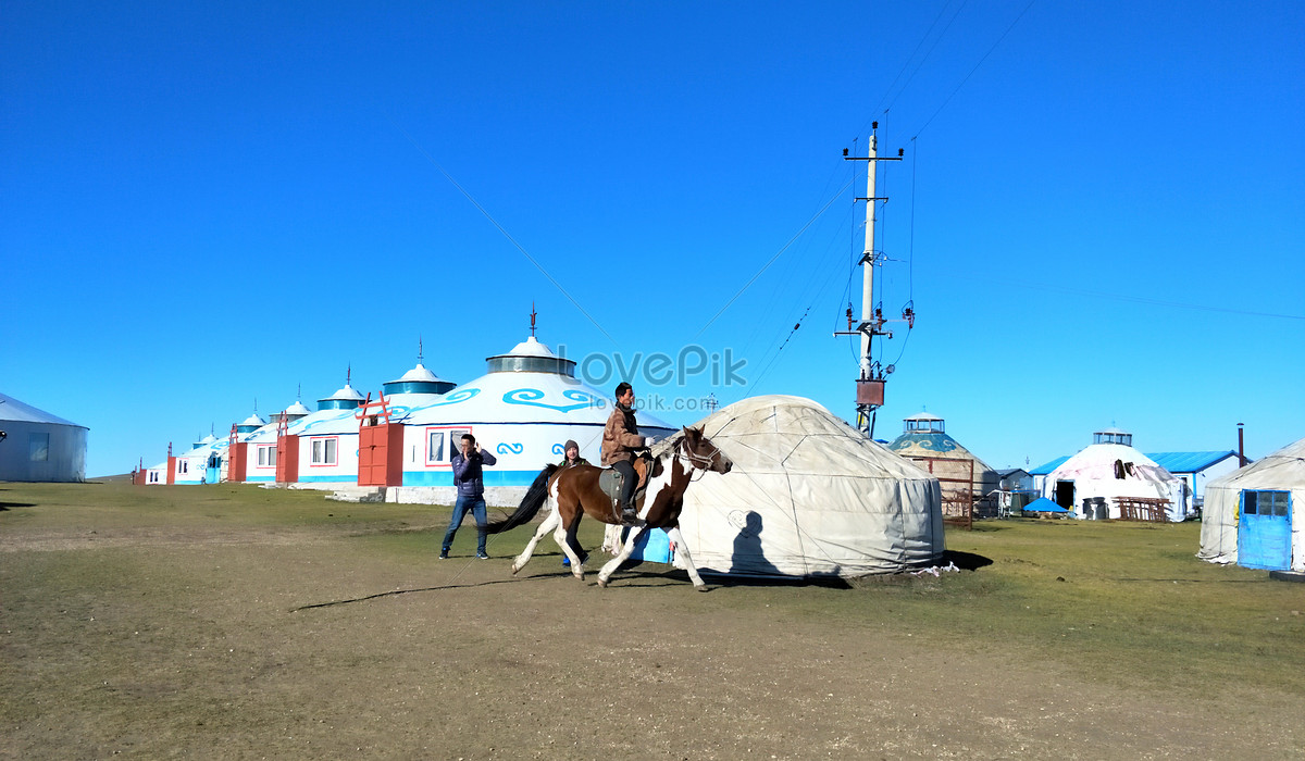 Скотовод в монголии букв. Орнамент на Юрты зеленые. Build Mongolia участники выставка. Скотовод в Монголии букв 4 букв. Mongolian Bag.